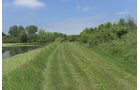 Pond on a farm in Lake County, Indiana - LAND AUCTION - 147+/- ACRES OFFERED IN 3 TRACTS IN LAKE COUNTY, INDIANA